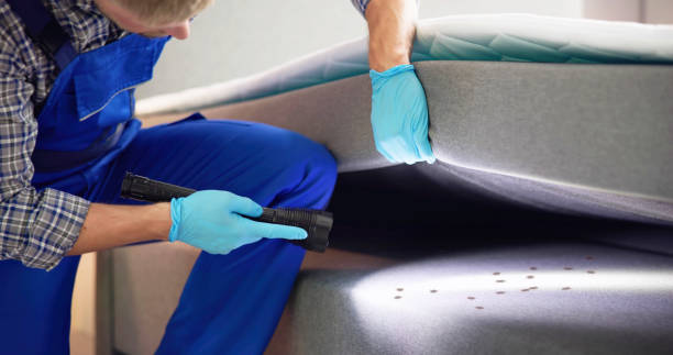 Best Bed Bug Extermination  in Frederickson, WA
